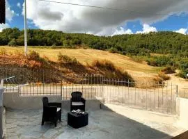 Il Galletto Selvatico di case Mussa - Langhe