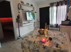 Casa Cometa