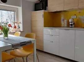 Apartma Marjetica