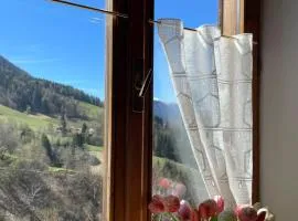 CASA IDA - ClPAT 22253