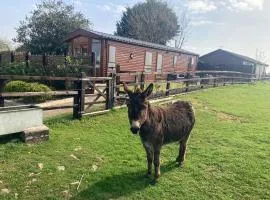 Rew Farm Country and Equestrian Accommodation - Sunset Lodge