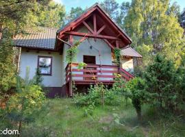 Dom całoroczny w Borach Tucholskich，位于Klocek的酒店
