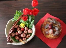 Старата Тонина къща
