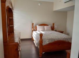 Rochester Hotel，位于Rochester的酒店