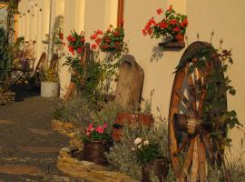 Pokoje Gościnne Skalnik - Agroturystyka- Pokoje butikowe，位于奥得河畔科斯琴的酒店