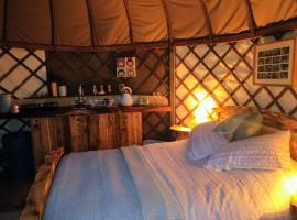 Bembridge Harbour Yurt - Log Burner - WiFi，位于本布里奇的酒店