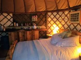 Cosy and Inviting Waterside Luxury Yurt