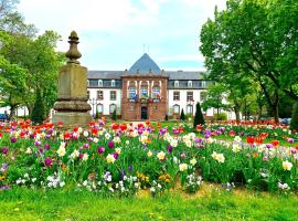 Charmant studio à Haguenau, à 25mn de Strasbourg，位于阿格诺的家庭/亲子酒店