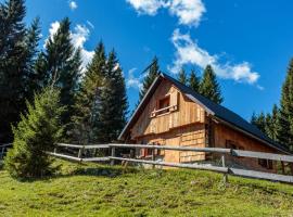 Holiday house Pokljuka - Bohinj，位于Koprivnik v Bohinju的度假屋