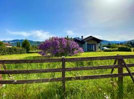 Lithos Villas，位于阿姆菲克利亚的酒店