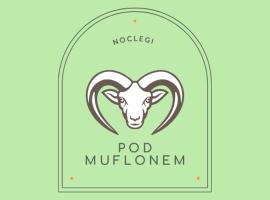 Noclegi Pod Muflonem，位于瓦乌布日赫的青旅