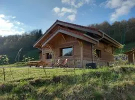 TOUT NEUF - Chalet Paul avec sauna