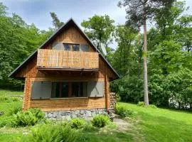 Wooden house in the nature