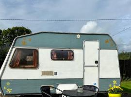 Cosy Caravan at Carrigeen Glamping，位于基尔肯尼的露营地
