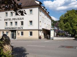Hotel Restaurant Pelikan，位于博伊龙的酒店