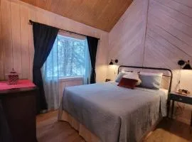 Denali Wild Stay - Muskrat cabin, private, free wifi, free parking, sleep 4