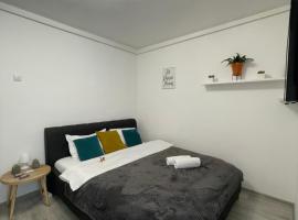 Cozy Studio Apartament Zalau，位于札勒乌的酒店