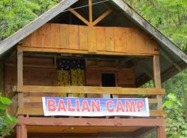 Balian Camp penginapan