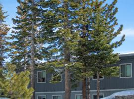 Tahoe Trail Resort，位于斯德特莱恩的度假村
