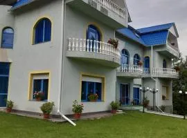 Casa Albastra