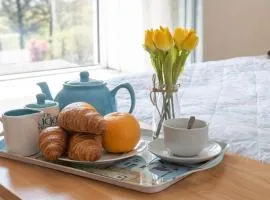 Arallt Holiday Cottage