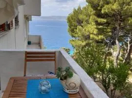 Peace and quiet apartment in Brela, Croatia