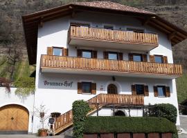 Ferienwohnung Brunnerhof，位于纳图尔诺的酒店