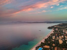 Paradise Apartments Barbati，位于巴尔巴蒂的宠物友好酒店