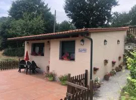 Camiño á casa.