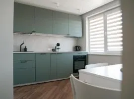 Grey Green Studio Apartment