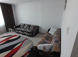 Apartament La Denis，位于Bîrlad的酒店