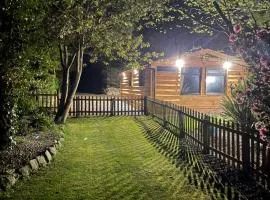 Snowdonia cabin