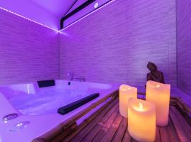 Zen & Spa - Maison Cosy - Tours - Netflix，位于图尔的酒店