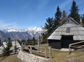 Chalet Resa - Velika planina，位于StahovicaVlečnica Jurček附近的酒店