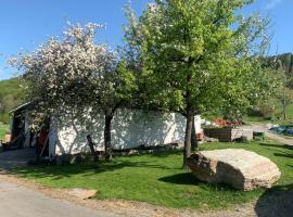 Ferienwohnung Waldköhlerei，位于Michelbach的酒店