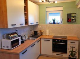 Apartman Roko，位于戈斯皮奇的酒店