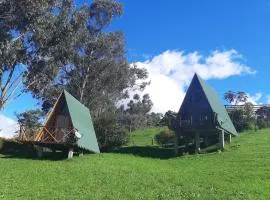Animals Glamping