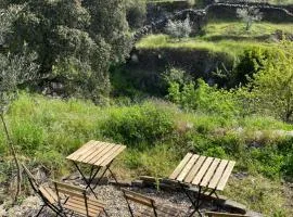 Casas Rurales Prunus avium