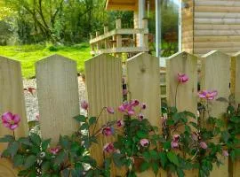 Dryw bach glamping hut