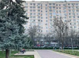 Lovely house in the city center