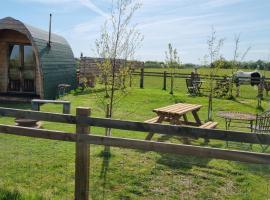 Skipbridge farm glamping，位于约克的酒店