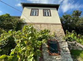 Ferienhaus Traminer im Weinberg，位于弗赖堡的度假屋