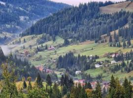 Pensiunea Casa Fierarul din Bucovina，位于瓦特拉摩尔多维采乡的酒店