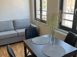 Cosy appartement with canal view
