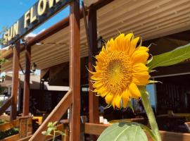 Sun Flower Apart Hotel，位于锡德的度假短租房