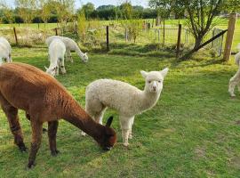 Dartmoor Reach Alpaca Farm Heated Cabins，位于巴维特雷西的度假屋