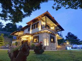 Guesthouse Niaousta，位于纳乌萨玛西亚斯的酒店