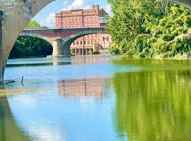 Moulin d'Albias aux portes de Montauban，位于Albias的公寓式酒店