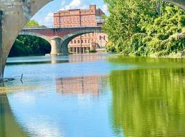 Moulin d'Albias aux portes de Montauban，位于Albias的酒店