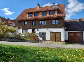 Landhaus Alpenpanorama über der Wutachschlucht